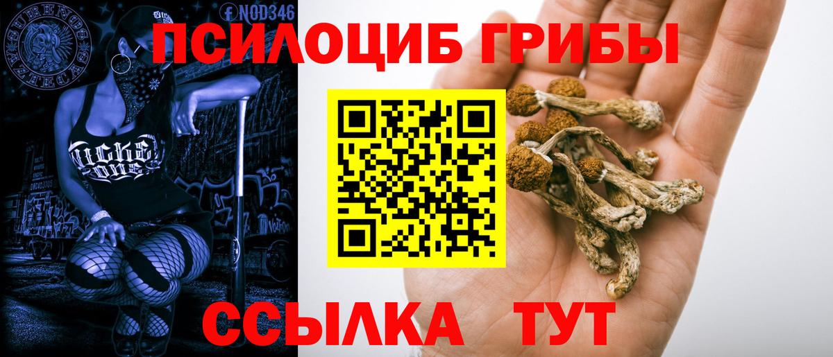 Галлюциногенные грибы MAGIC MUSHROOMS  Вход с VPN  Донецк 