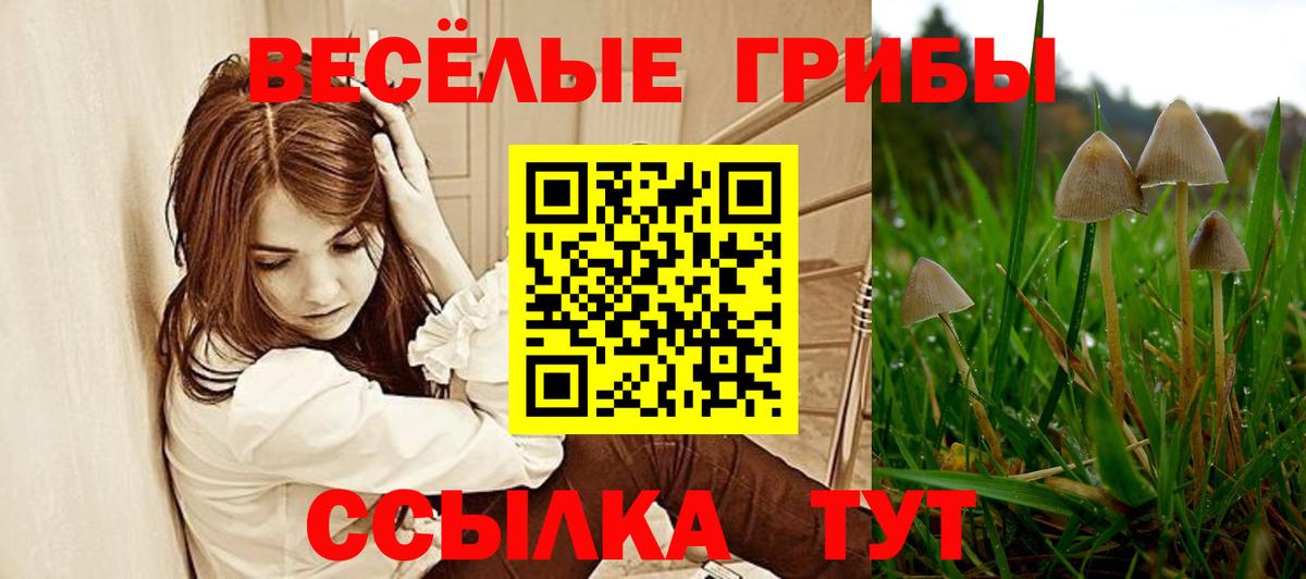 Галлюциногенные грибы мицелий Донецк
